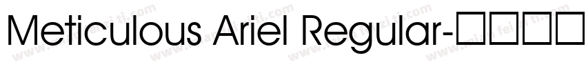 Meticulous Ariel Regular字体转换